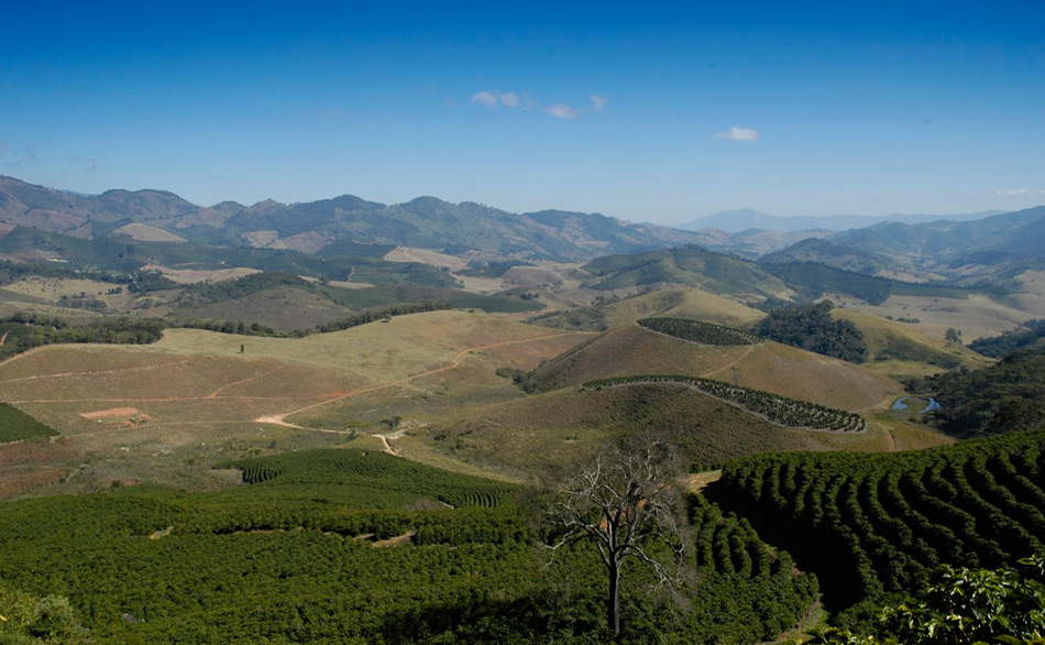Serra da microrregiao da Mantiqueira de Minas  em  Carmo de Minas onde fica a sede da Cocarive maior produtora de café especial do Brasil.