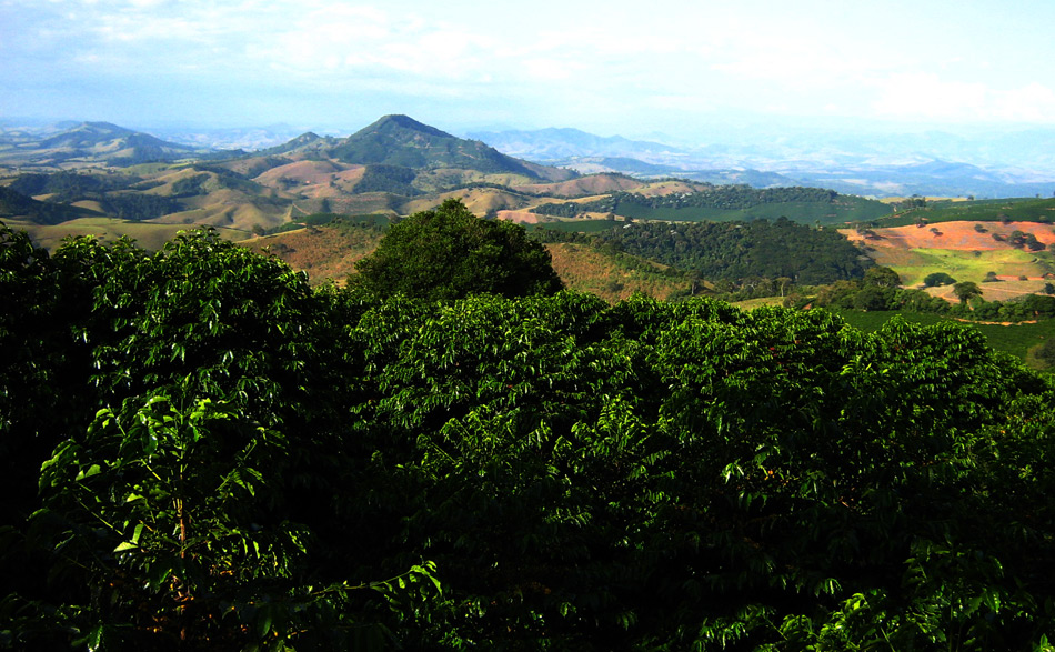 Carmo de Minas and Serra da Mantiqueira Microregion