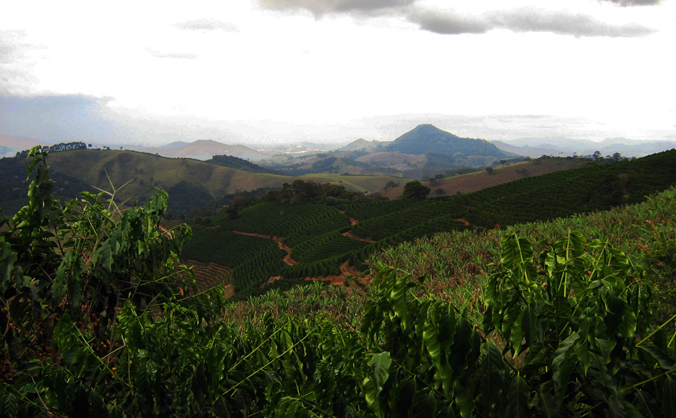 Carmo de Minas and Serra da Mantiqueira Microregion