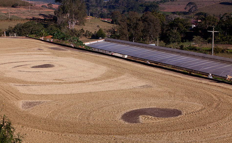 Serra da microrregiao da Mantiqueira de Minas  em  Carmo de Minas onde fica a sede da Cocarive maior produtora de café especial do Brasil.