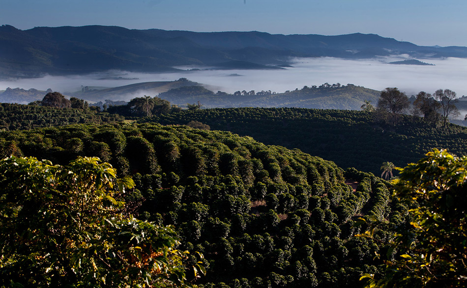 Carmo de Minas and Serra da Mantiqueira Microregion